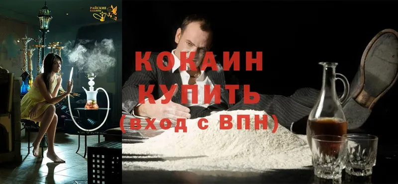 купить закладку  Дубовка  Cocaine 98% 